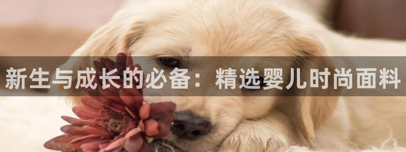 星欧娱乐负责人