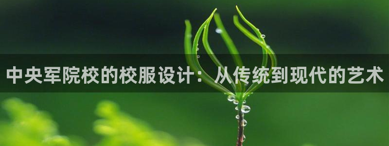 星欧娱乐平台主管