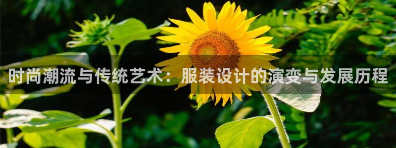 星娱乐欧嘉78778