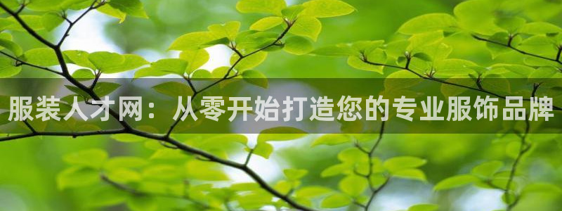 星欧娱乐平台官网入口