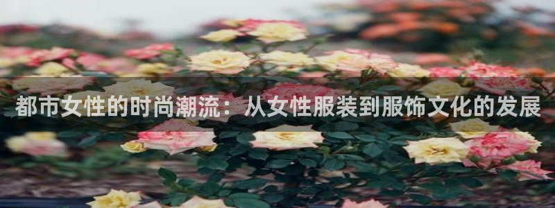 乌鲁木齐欧乐星娱乐