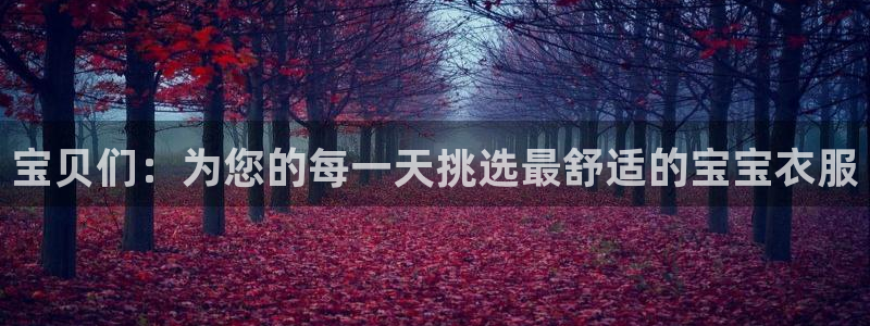 星欧娱乐负责人