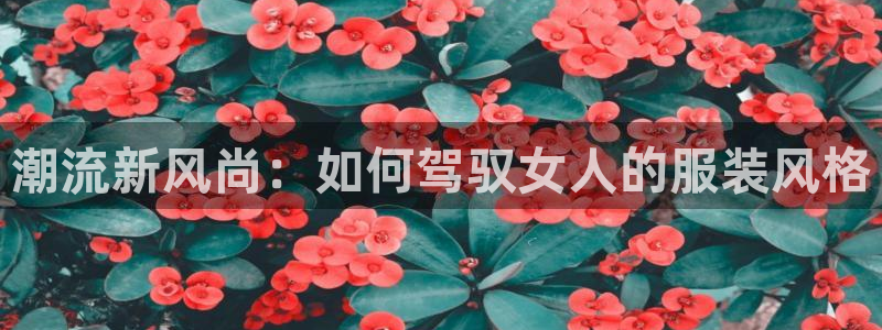 金欧岗星熠娱乐