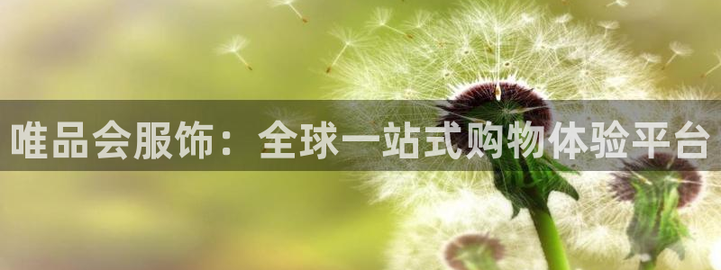 欧星国际娱乐