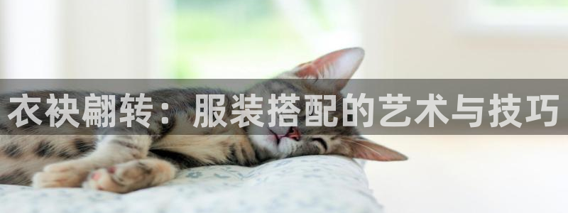 星欧娱乐平台app下载