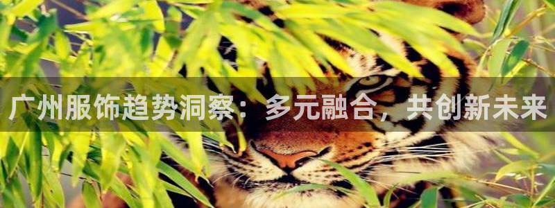 武汉欧汇星娱乐有限公司