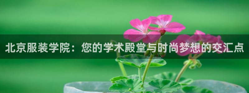 星娱乐online欧弟