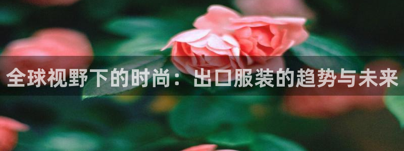 星欧娱乐扣款流程详解