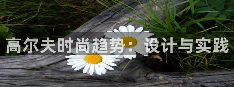 星欧娱乐官网登录入口