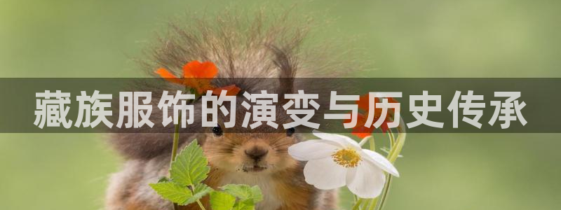 欧星娱乐真人