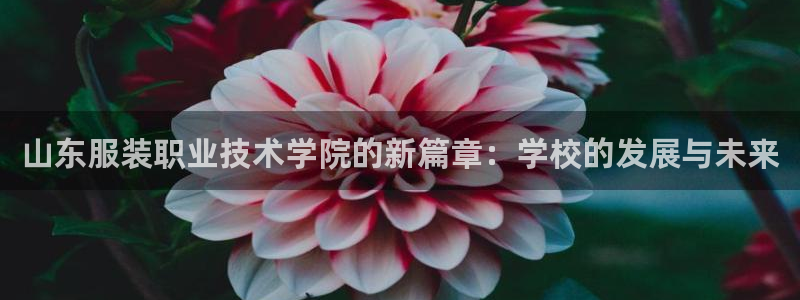 欧星娱乐国际平台