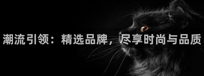 艾欧尼亚三星娱乐赛
