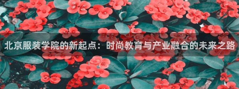 星饭娱乐欧豪