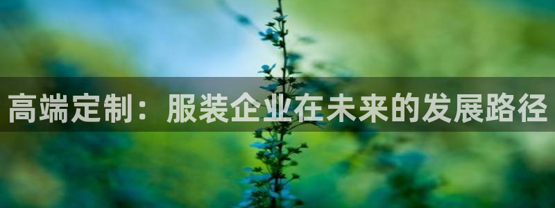 星欧娱乐是正规的吗