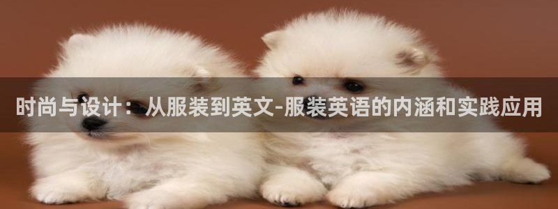 星欧娱乐的创始人背景
