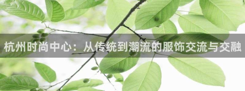 星欧娱乐倒闭了吗