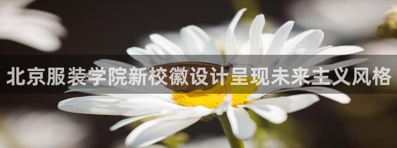 星欧娱乐官网免费下载