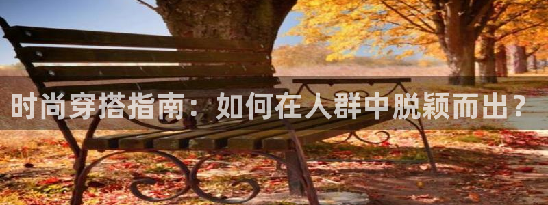 欧米星创文化娱乐
