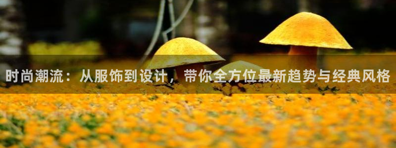 星欧娱乐官方网页版入口