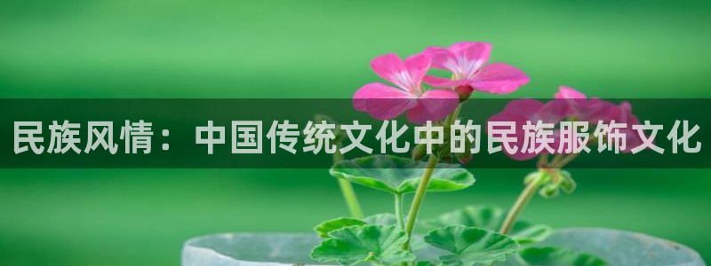 欧星娱乐国际平台：民族风情：中国传统文化
