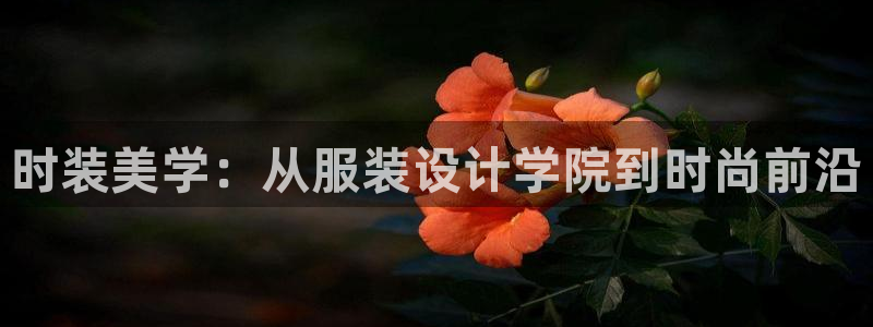 星欧娱乐公司电话号码