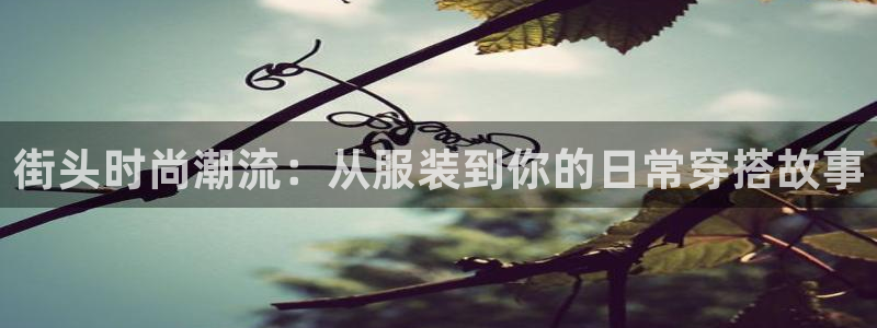 星娱乐online欧豪