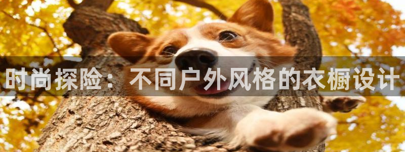 星欧娱乐官方微博