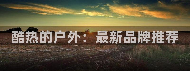 星欧娱乐最新优惠活动