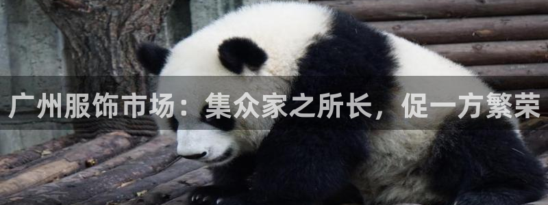 星欧娱乐客服联系方式