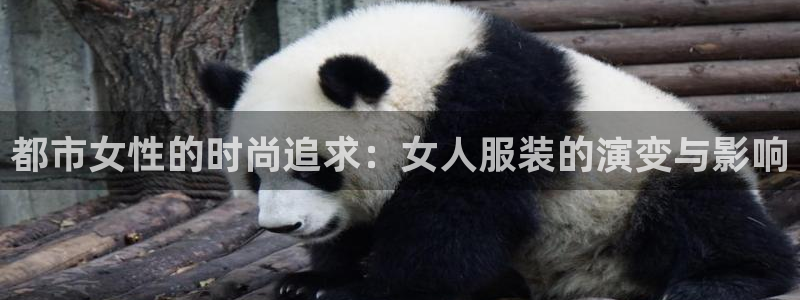 星欧娱乐平台是什么