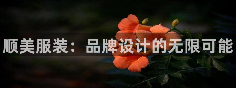 欧星娱乐平台是黑的吗