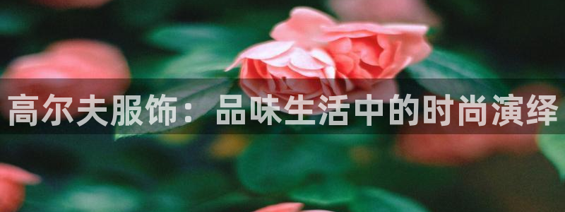 星欧娱乐最新优惠活动