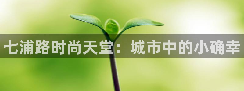 星欧娱乐最新活动