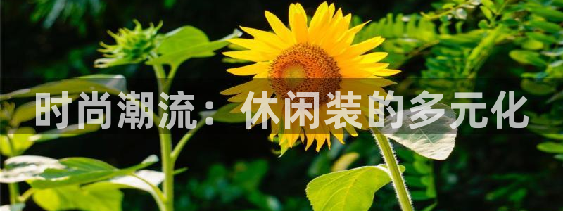 星欧娱乐法最新进展