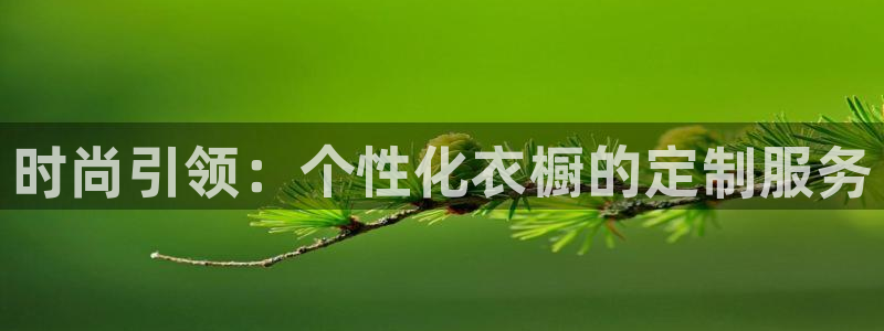 星欧娱乐最近怎么了