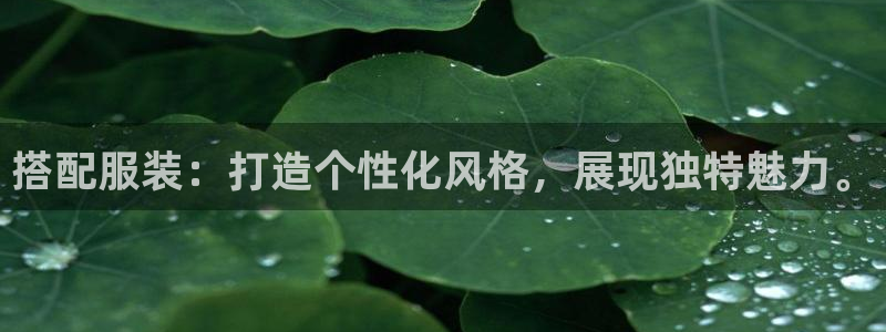 星欧娱乐最新动态消息