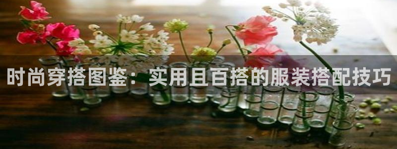 星饭娱乐欧豪是谁