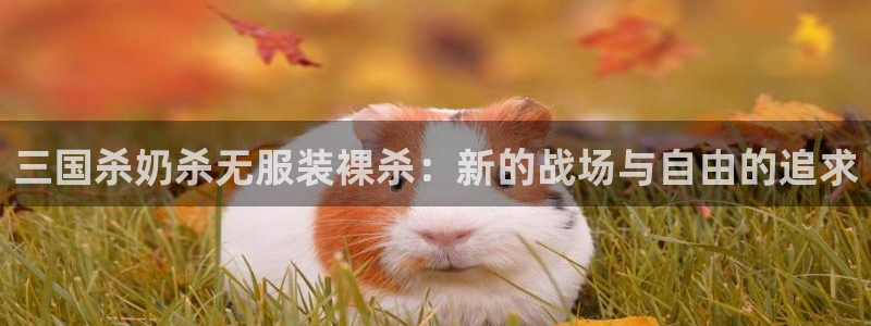 星辉娱乐西班牙人欧联