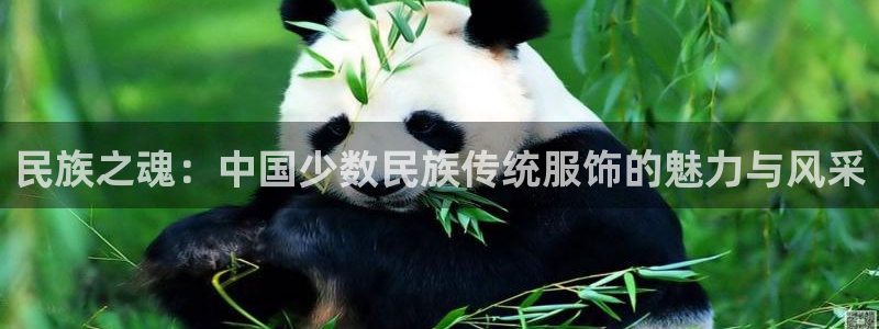 欧汇星娱乐城