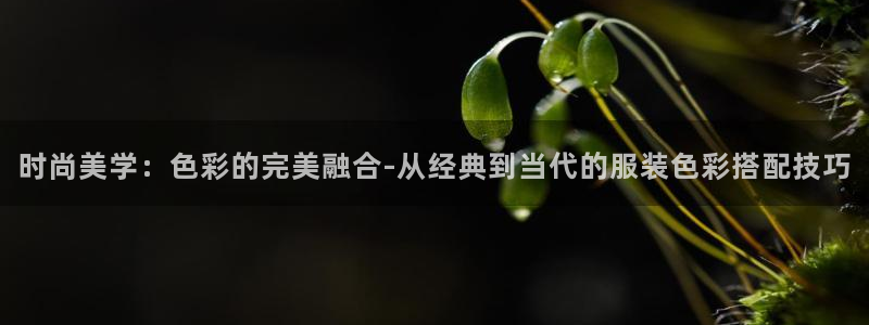星娱乐online欧豪