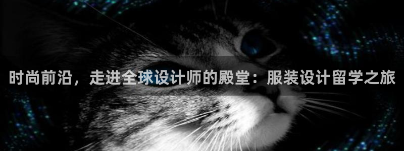 注册星欧娱乐需要多少钱