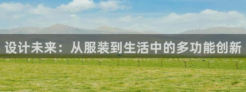 星辉娱乐进入欧联杯