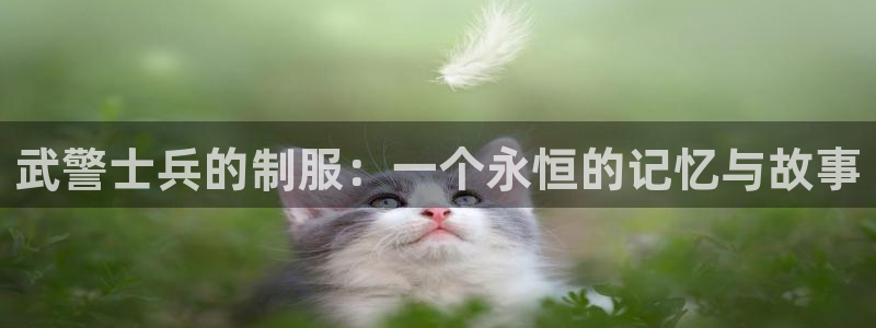 欧星娱乐是做什么的