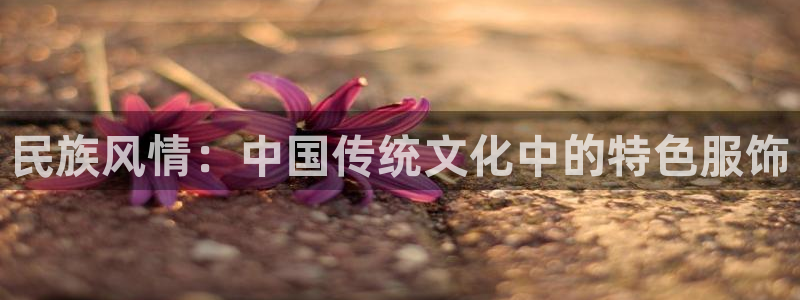 星欧娱乐银行卡怎么登录
