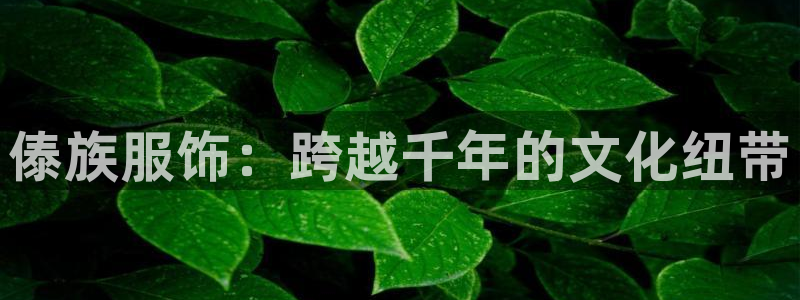 星欧娱乐app下载安装