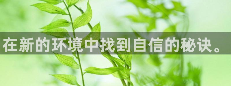 星欧娱乐在线注册