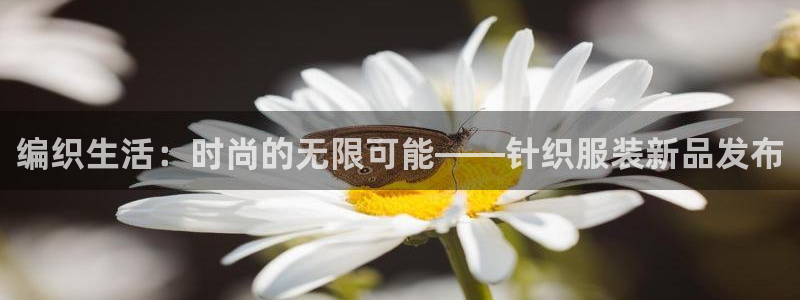 菲律宾亚星国际娱乐欧博：编织生活：时尚的