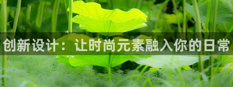 欧星娱乐备用网址