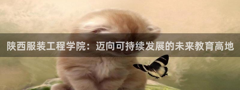 星欧娱乐最新版下载链接：陕西服装工程学院