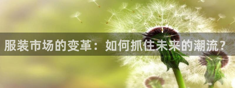星欧平台娱乐注册的方式